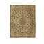 Oriental Area Rug in Brown
