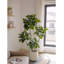 Simulation de plante verte Happiness Tree Living Room-110897959