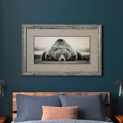 Deep Sleep Bear by Liz Jardine - Picture Frame Photograph