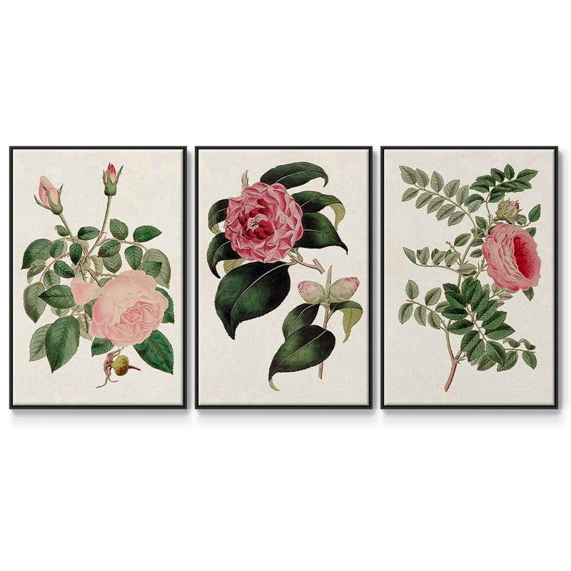 «Pink Floral Mix I», ensemble de 3 reproductions sur toile, Noir, H 27 po x l 54 po