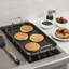 Cuisinart Double Burner Griddle