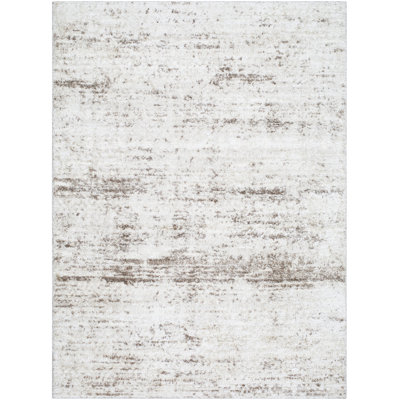 Stann Abstract Indoor Rug
