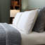 TEMPUR-Cloud Breeze Dual Cooling Pillow-118347480-29950578