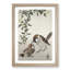 Sparrow Birds and Plants by Ohara Koson - Picture Frame Painting Print-55619678-55619676