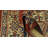 Olander Red Rug