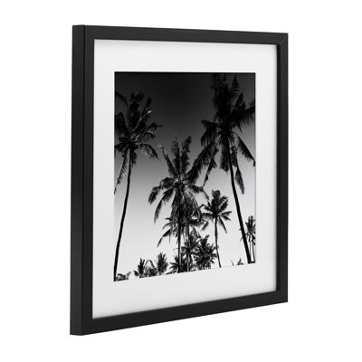 «Palm Sunset Stark Contrast», impression par Danita Delimont