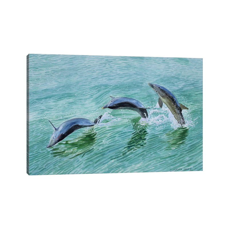 Dolphin Splash - Wrapped Canvas Print