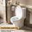 Comfortable Toilet With 17" Seat, 1.1/1.6 Dual Flush, Rimless Sanitary Basin, Quiet Gloss White 006 For Bathroom One Piece Hygienic Ceramic Silent