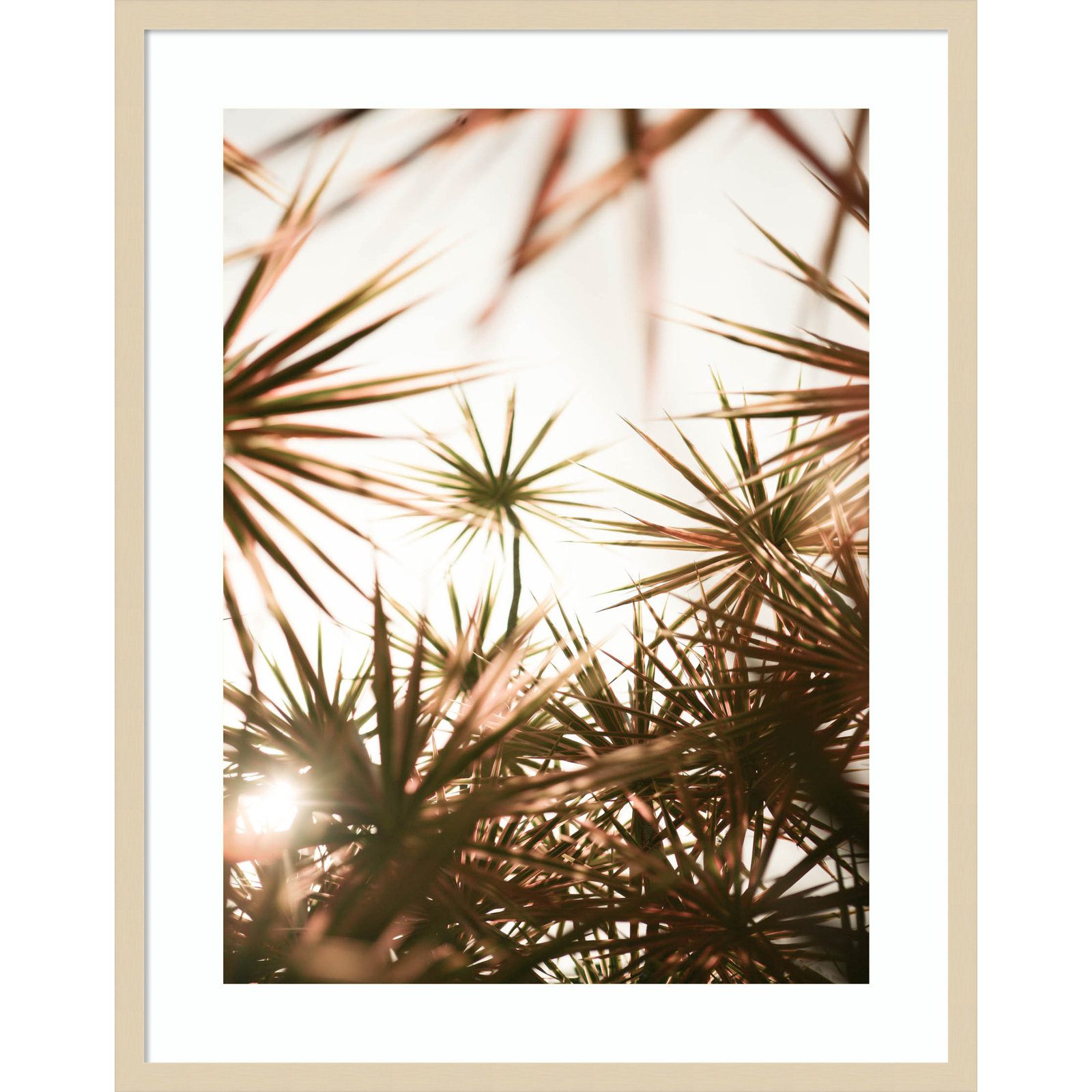 Starlight Through Palms by Daisey Wood Framed Wall Art Print, 33" H x 26" W, Brown 