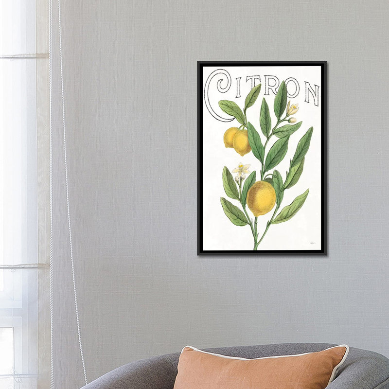 « classic citrus v », reproduction d’impression sur toile tendue, H 26 po x l 18 po x P 1,5 po, Toile avec cadre noir