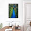 Paon bleu sauvage-1143031923