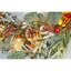 Faux Lighted Eucalyptus 10.2cm Wreath