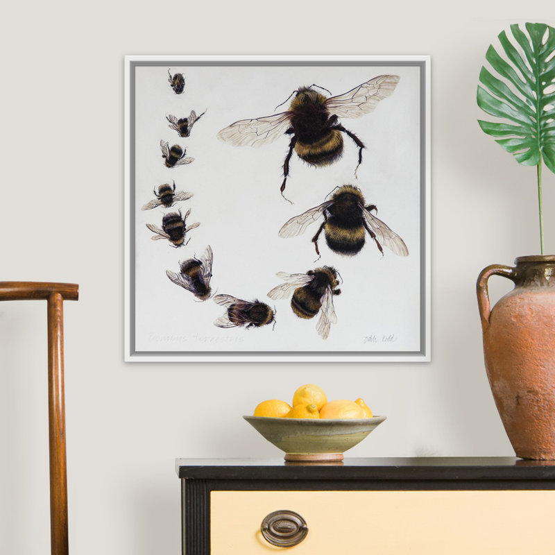 Bombus, 2015 - reproduction d'art, Cadre flottant blanc, H 26 po x l 26 po x P 1,75 po