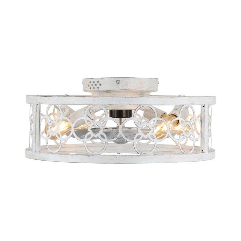 Barney 19" Caged Ceiling Fan with Light Kit and Remote, Flush Mount Farmhouse Ceiling Fan with Light