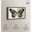 «Duality of a Monarch II», reproduction d'art sur toile encadrée par Art Remedy, cadre en noyer, 30 x 20-1285255274-1285255275