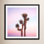 Desert Skies by Catherine McDonald