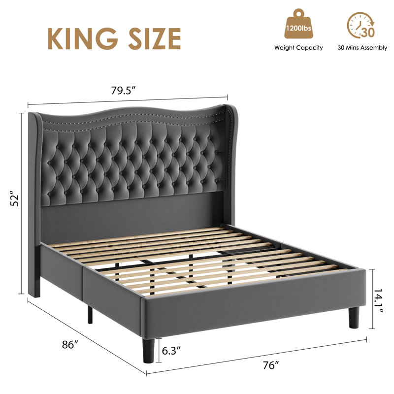 Eliso, Gray, King
