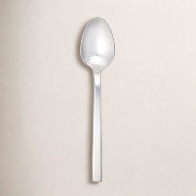 Arezzo Brushed Teaspoon