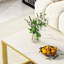 Daira Coffee Table with Storage-1531240705-1531240706