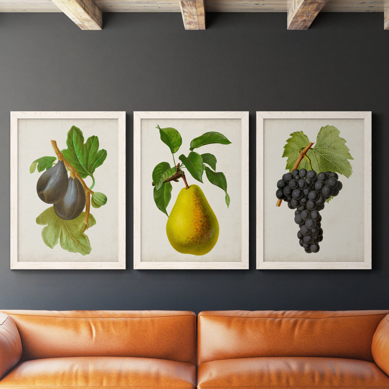 Antique Fruit VI - ensemble de 3 reproductions d'art sur toile, H 43,5 po x l 31,5 po x P 1 po, Blanc