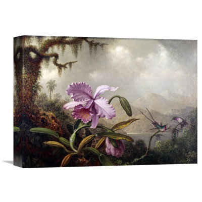 " Hummingbirds And Orchids " by Martin Johnson Heade