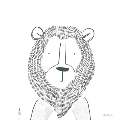 Lion, dessin au trait 1