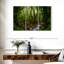 Alvord - forêt tropicale mystique-107970234