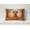 Other/No Pattern Outdoor Throw Pillow