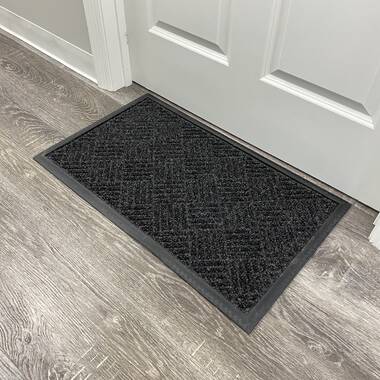 Lark Manor Apoloniusz Outdoor Doormat & Reviews