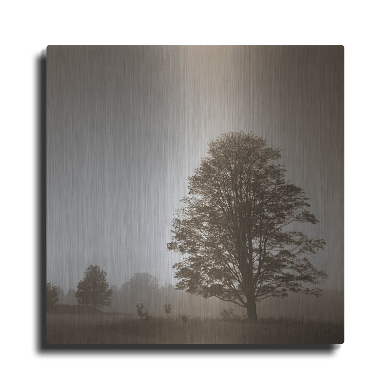 Luxe Metal Art «Stillness» par Photoinc Studio, Met «Stillness» par PhotoINC Studio, H 24 po x l 24 po
