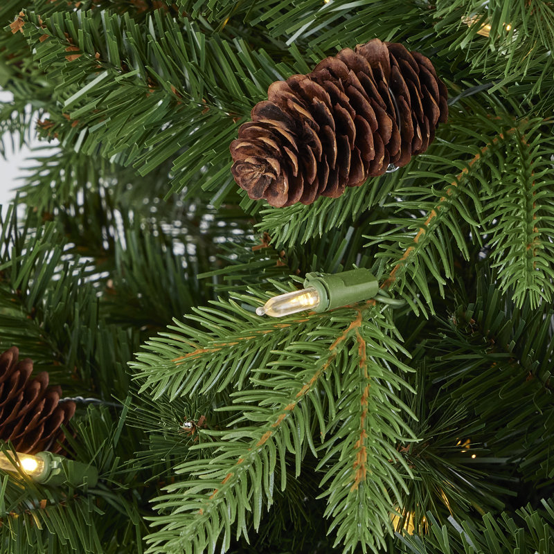 Sapin artificiel Canyon Ranch, 620 lumières DEL blanc chaud pré-éclairées, 2264 pointes en PE / PVC, 108"