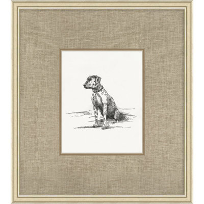 Canine Heirloom 6