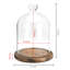 Glass Apothecary Jar