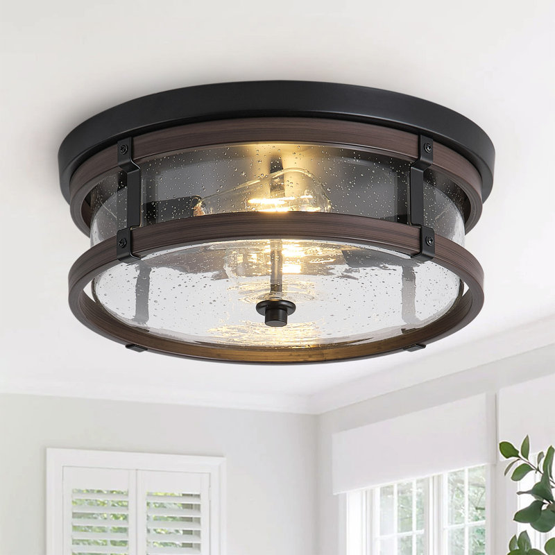 2-Lamp black dimmable glass iron Ceiling light
