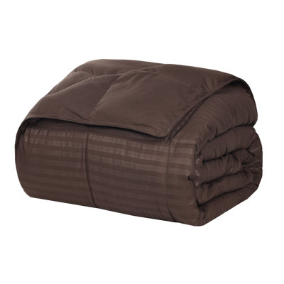 All Season Reversible Down Alternative Blanket