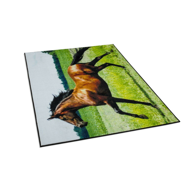Bang Animal Print Area Rug, Rectangle 60 x 112 cm