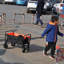 Mini chariot de plage pliable de jardinage de chariot (noir + jaune)