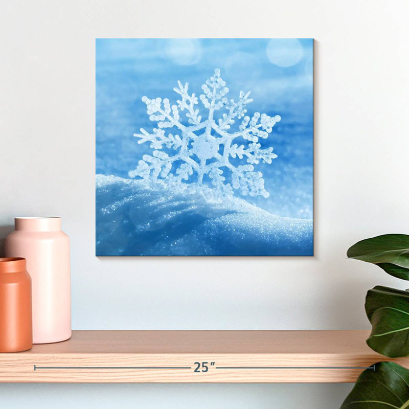 Flocon de neige d'hiver Alvord