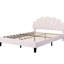 Grand lit plateforme tapissier beige à motif de tête de lit en velours-957524827-957524829