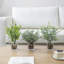 3 plantes d'eucalyptus artificiel d'intérieur 3 pièces