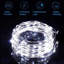 Alhowra 0.1' Outdoor LED Solar Powered 200 - Bulb Christmas Decorations Mini String Light