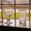 Glass Fern With Dots Wine Glass