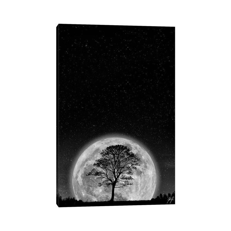Supermoon 1 Piece Wrapped Canvas Wall Art, 30.48cm H x 20.32cm W