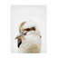 Rouleau bolologien sur toile-94839776