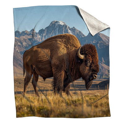 Majestic Bison Mountain Blankets