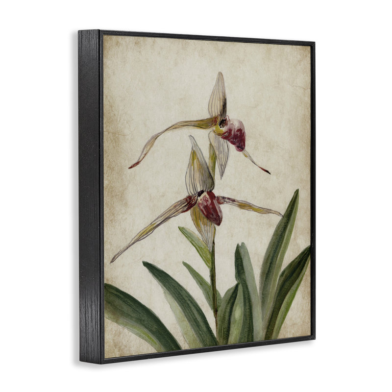 Oiseaux de paradis, estampe numérique rétro, design par Jacob Q, H 14 po x l 11 po, Giclée encadrée noir minuit