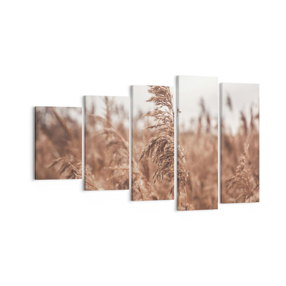 5-tlg. Leinwandbilder-Set Cane Meadow Boho