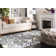 Oakton Hand Tufted Wool Oriental Rug