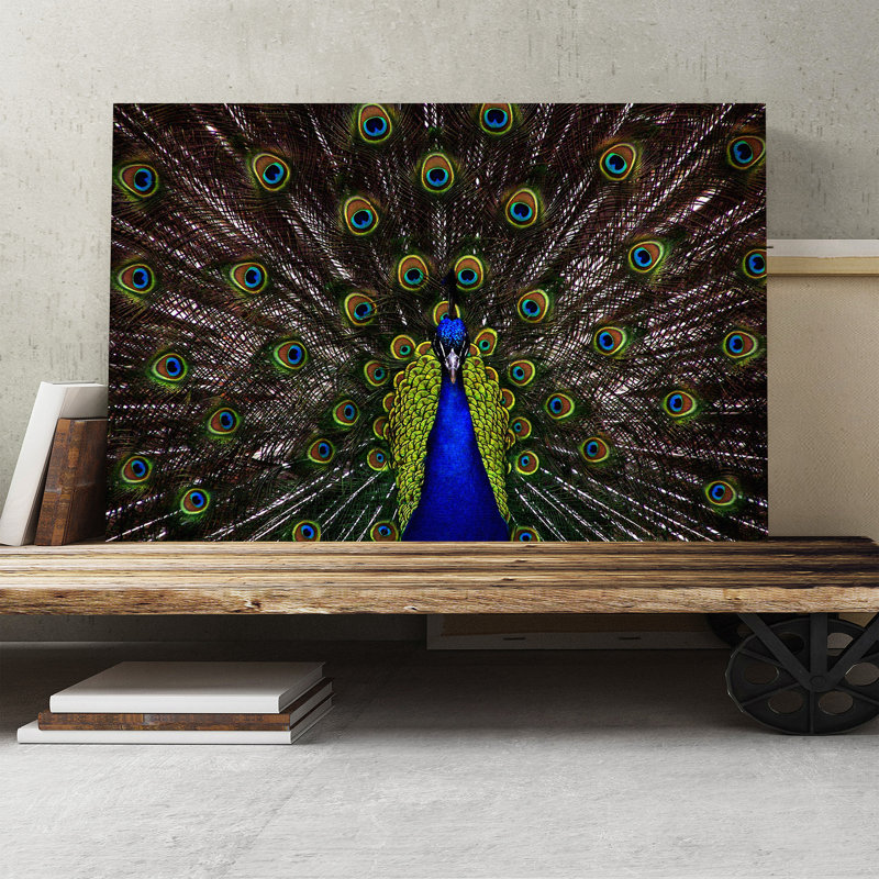 Peacock - Wrapped Canvas, 50cm H x 76cm W