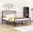 Assunta Metal Platform Bed with Headboard-794205388